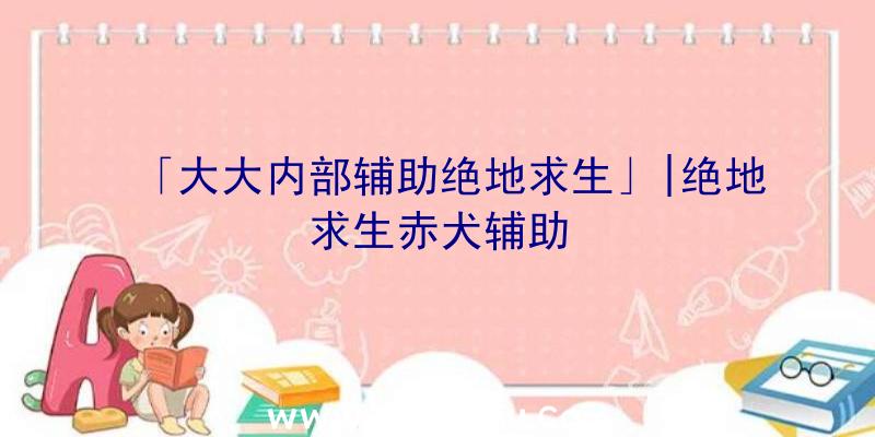 「大大内部辅助绝地求生」|绝地求生赤犬辅助